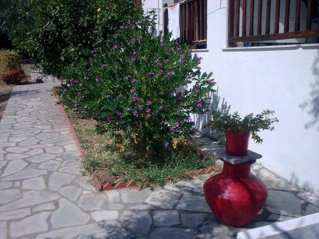 Liossis Rooms & Apartments Skopelos Town Ngoại thất bức ảnh